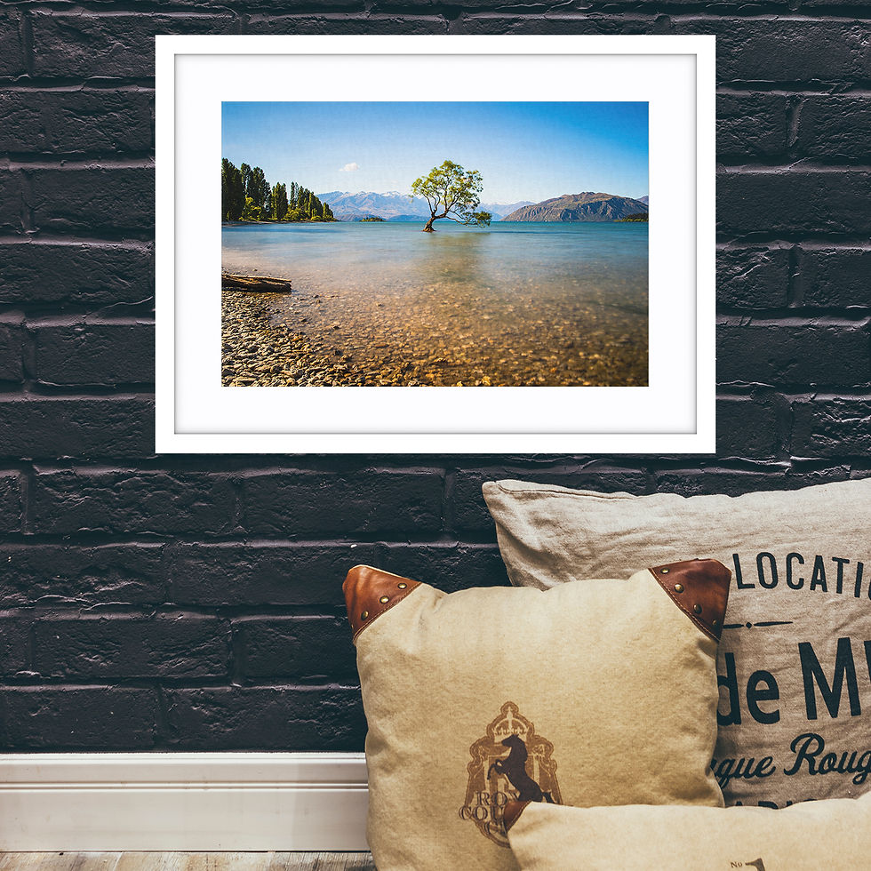 Thumbnail: Wanaka Lake Tree