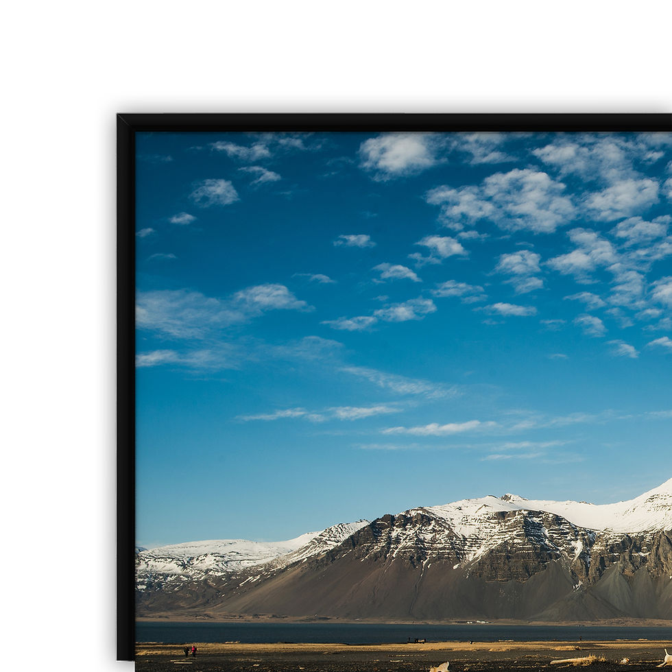 Thumbnail: Iceland whale bone