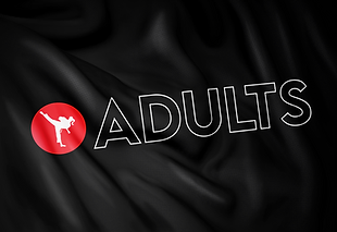 Evolution_Martial_Arts_Adults_Header