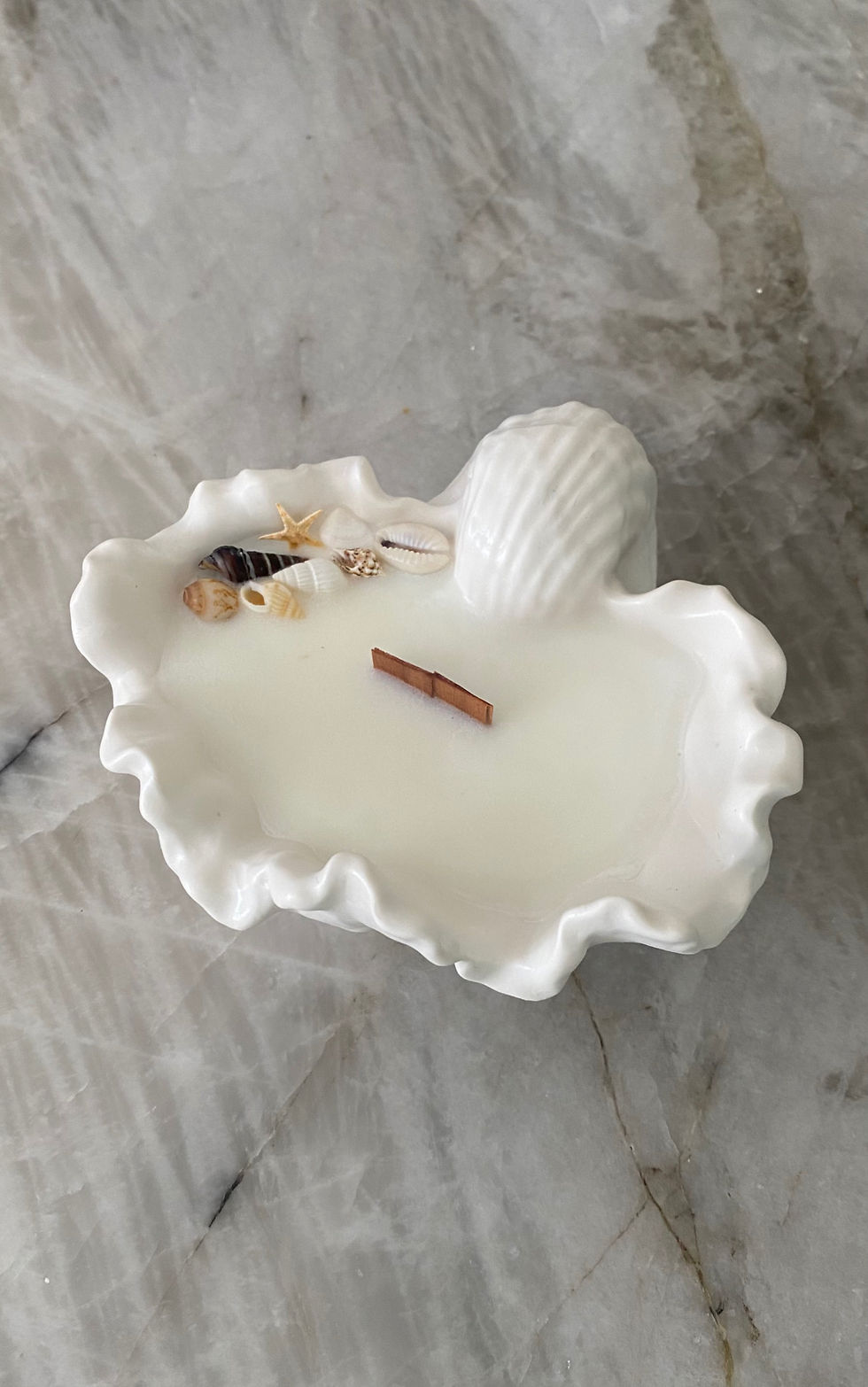 Bougie coquillage "SAUVAGE"