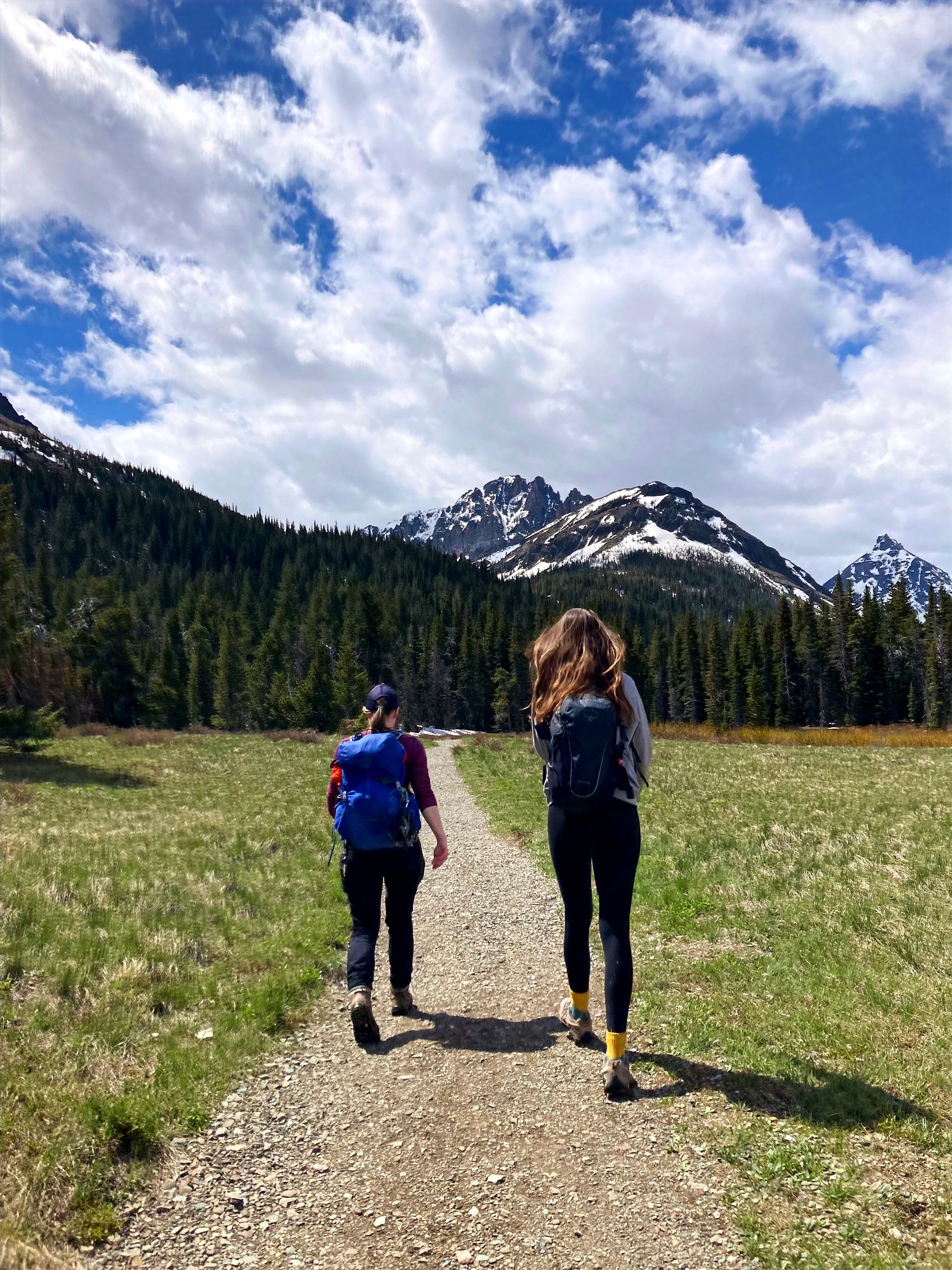 Aster Falls Hike