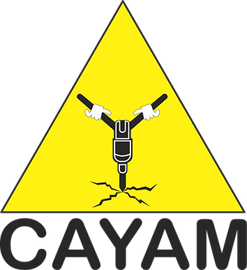 CAYAM LOGO.png