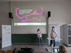 Oct 2025: Ricky Bayer presents in the GSCN Stem Cell Club