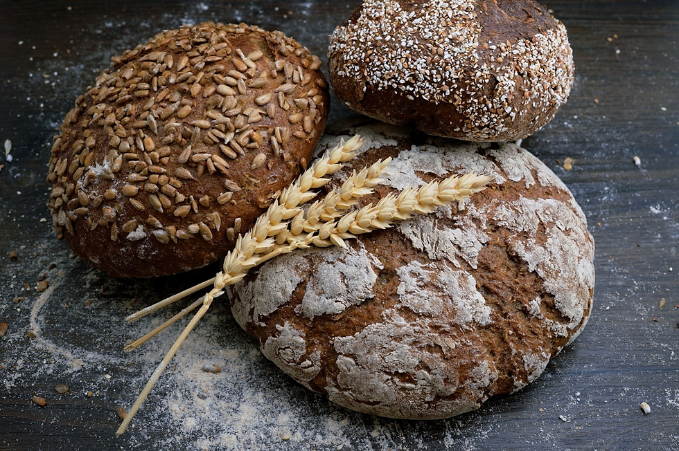 Fresh French bread loaves with wheat on dark background