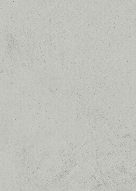 surfacesquadaboutus (1).gif