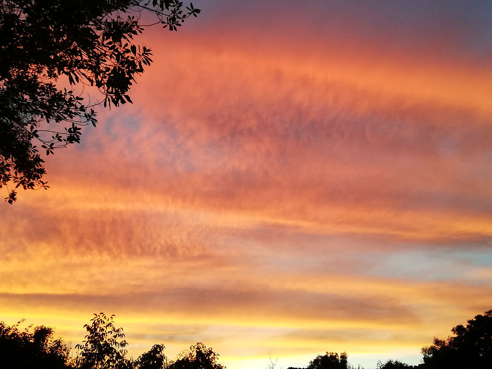 Sunset on the farm