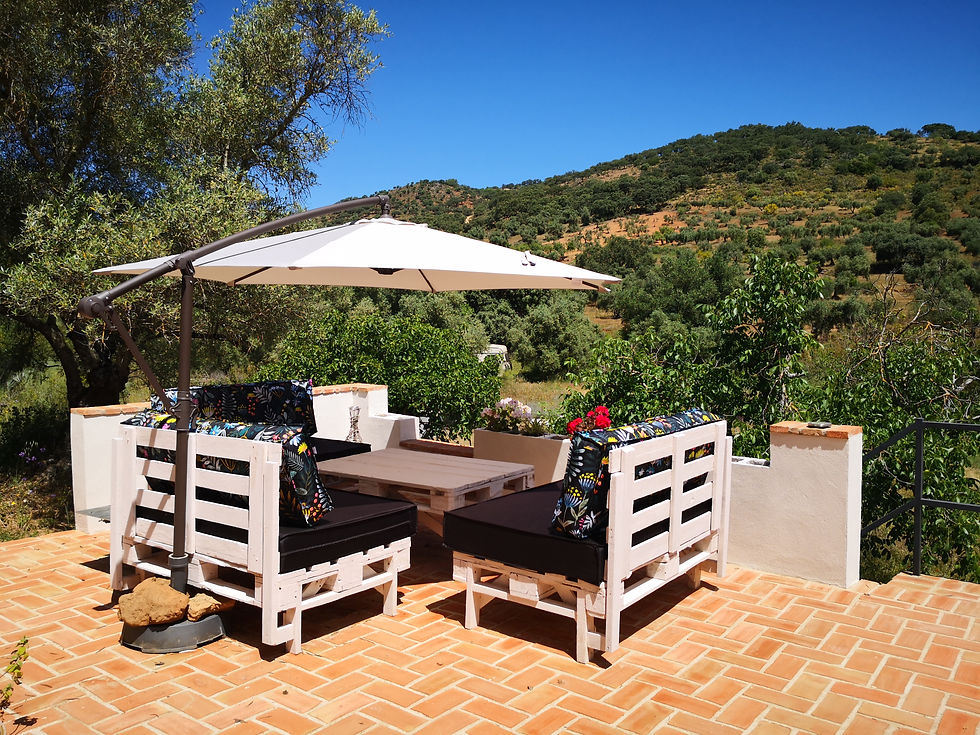 Top Patio