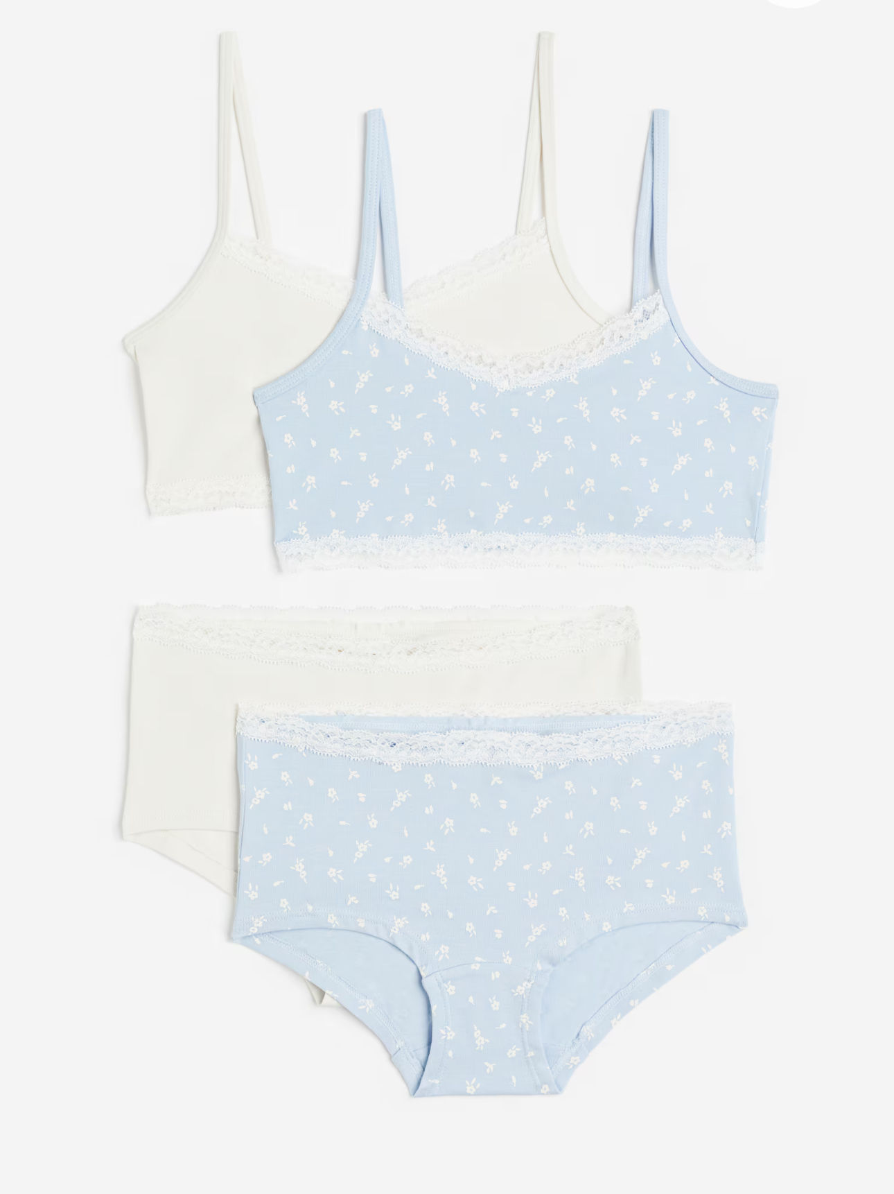Crop Top and Underwear Set