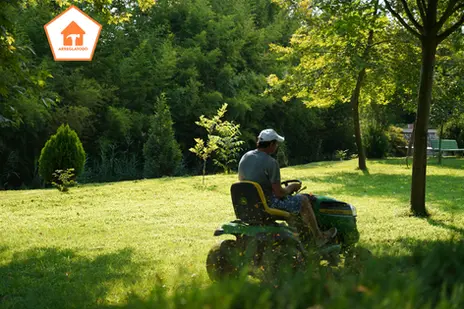 Guía para Mantener Tu Jardín Saludable: Consejos de Mantenimiento