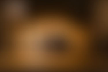 Deshollinado: Garantizando la Seguridad de tu Hogar