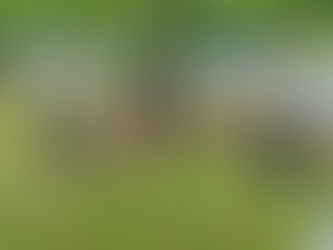 サクランボ収穫援農ボランティアが始まりました