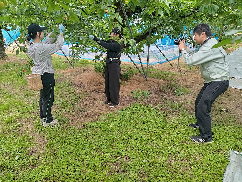取材中の写真撮影の様子