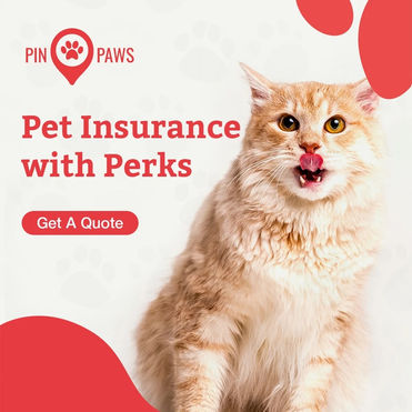 Pin Paws - Health Insurance for your fur babies!