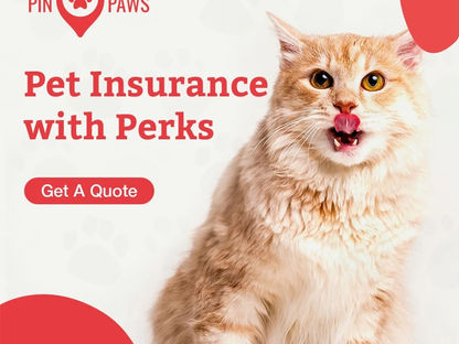 Pin Paws - Health Insurance for your fur babies!