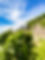 dji edit -3.jpg