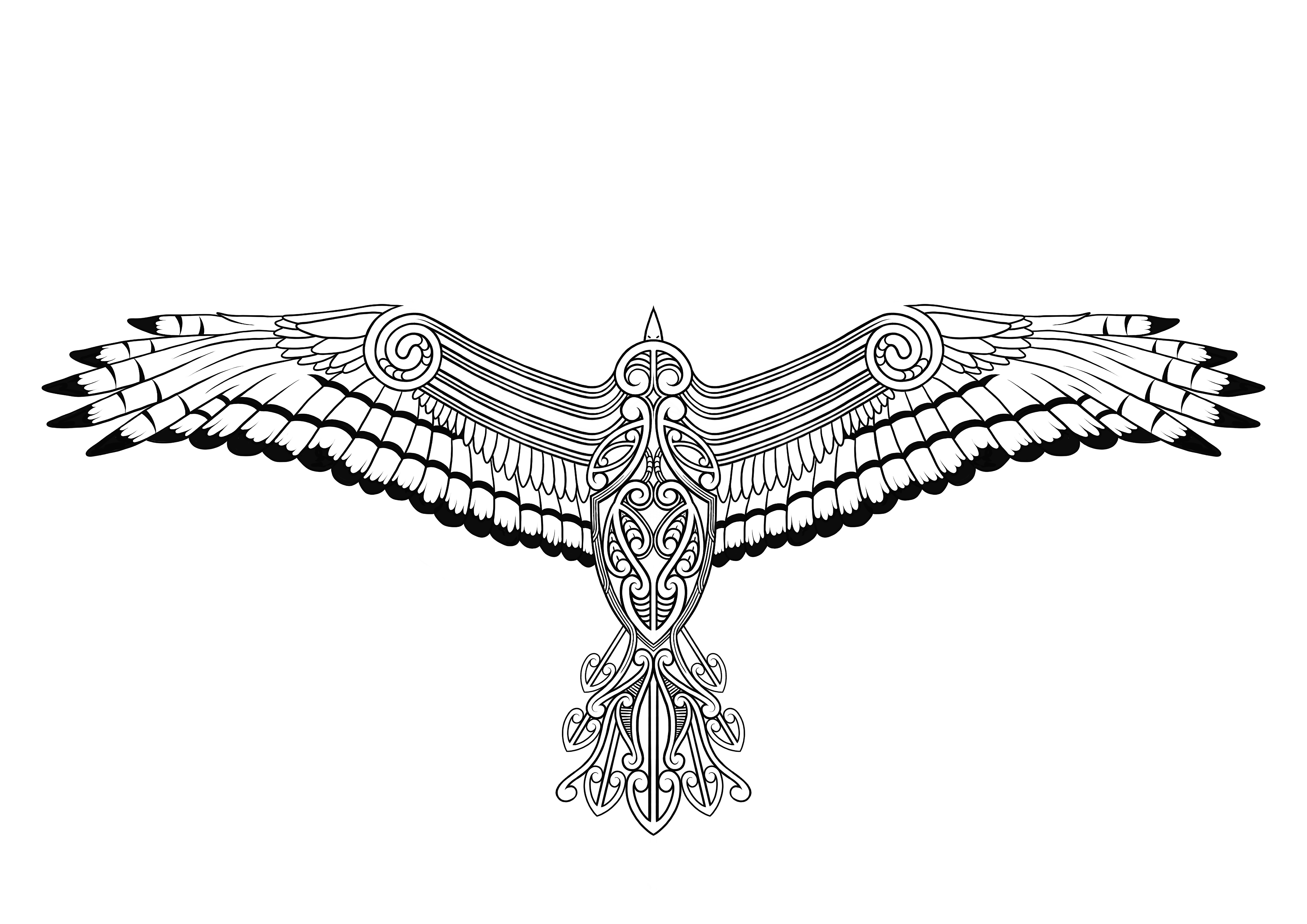 Kahu1.gif