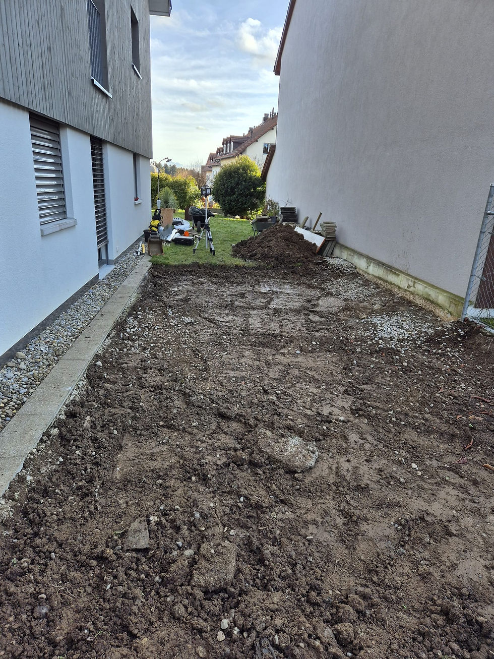 Projekt Palisaden vorher 2