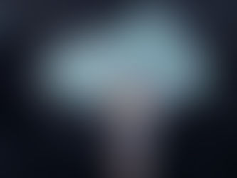 Fritz Schiller ist tot