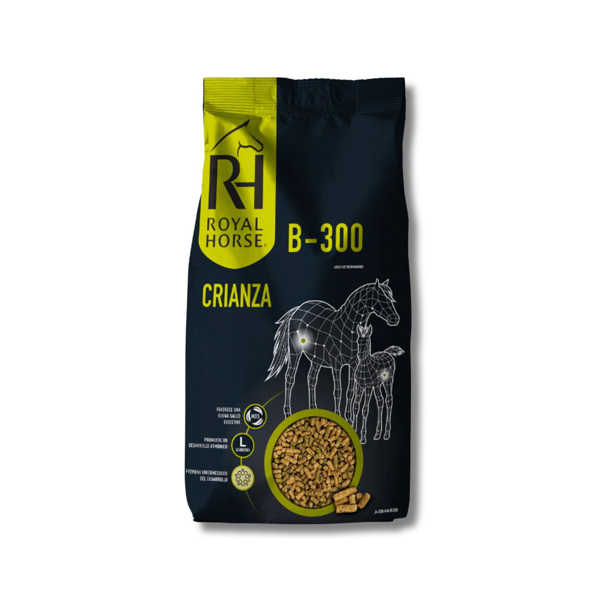ROYAL HORSE B-300