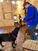 Enrich the Lives of Aging Dogs with Mental and Physical Leesburg Dog Training