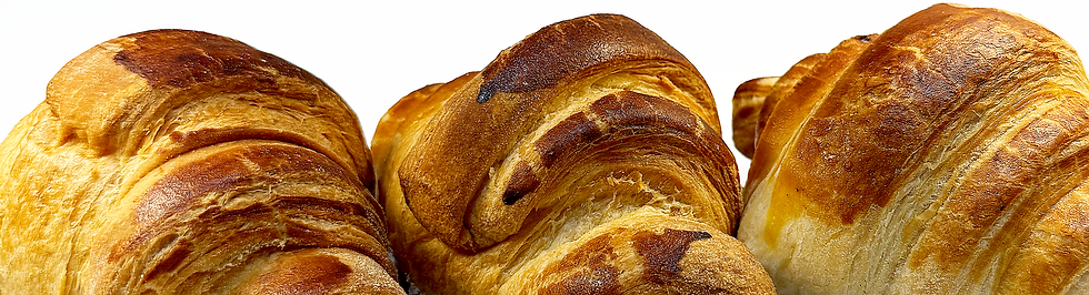 varios cuernitos close up.png