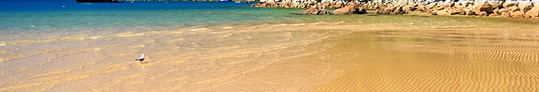 Sunny Beach