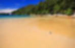 Golden sands on a tropic beach, origin of pactolian