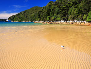 2 Tips to Find People Planning Summer Travel