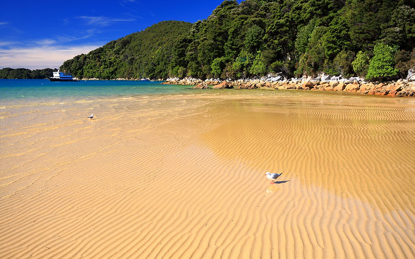 Sunny Beach