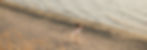 S + C-74_edited.jpg