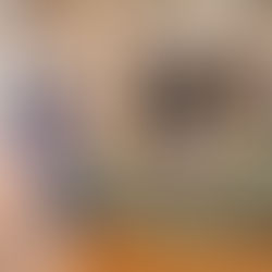 Meet the candidate: Judy LaRose campaigning for president and vice president positions to ‘bridge the gap’ between RIC students and admin