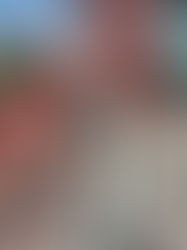 Ignition Arts Review 1.2