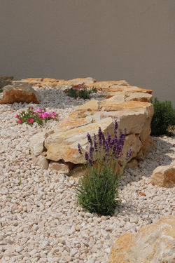 © Bien-être jardin | Gland