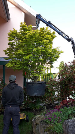 ©Bien-être jardin | Gland