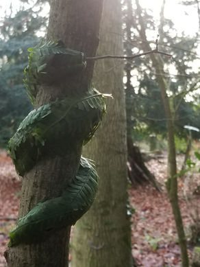 Rewilding at The Wilderness Centre