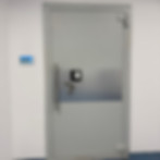Security door