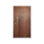 Security ballistic door