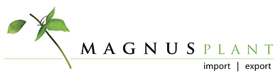 logo Magnusplant_edited.png