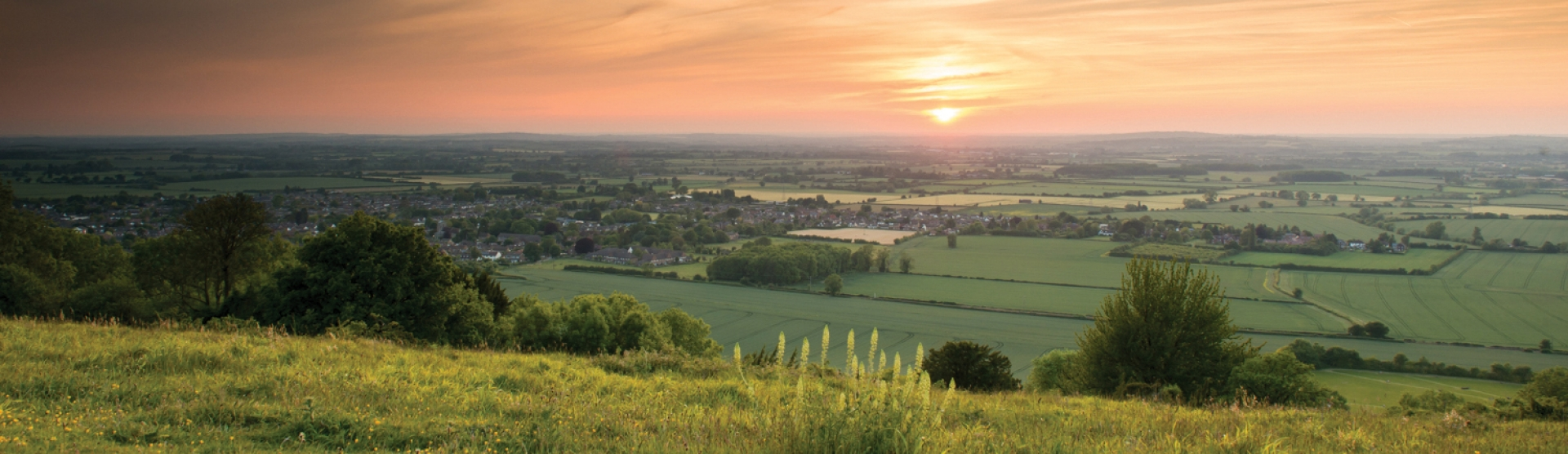 Paul Martin - Chill - Chinnor Hill, Oxfordshire RGB.webp