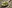 Herbs on Wooden Spoon