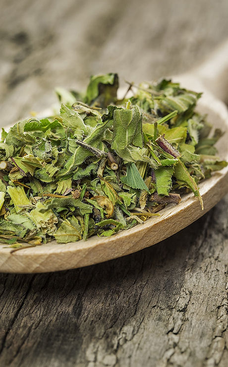Herbs on Wooden Spoon