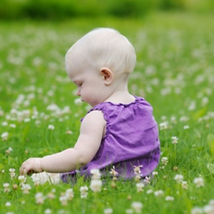 baby in a meadow