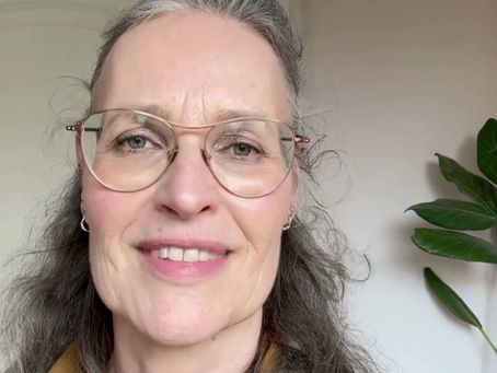 Video van auteur daphne blankestijn