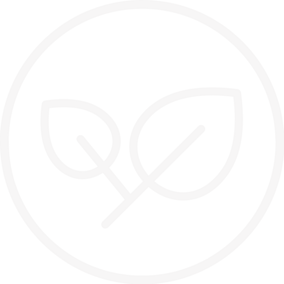 Herbal wellness massage using natural products and hot stone therapy at New Century Head Spa