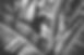 wp6756158_edited.jpg