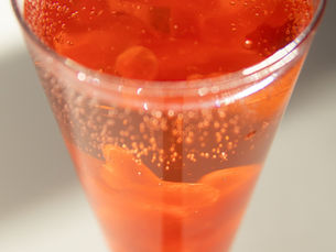 4 Autumn Tibicos (Water Kefir) Mocktails with Plum and Beetroot & Ginger