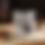 Thumbnail: Savor the Bounty Coffee Mug (11oz)