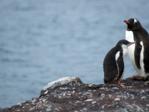 Global Warming: Scientists 'Stunned' by How Much Ice We've Lost