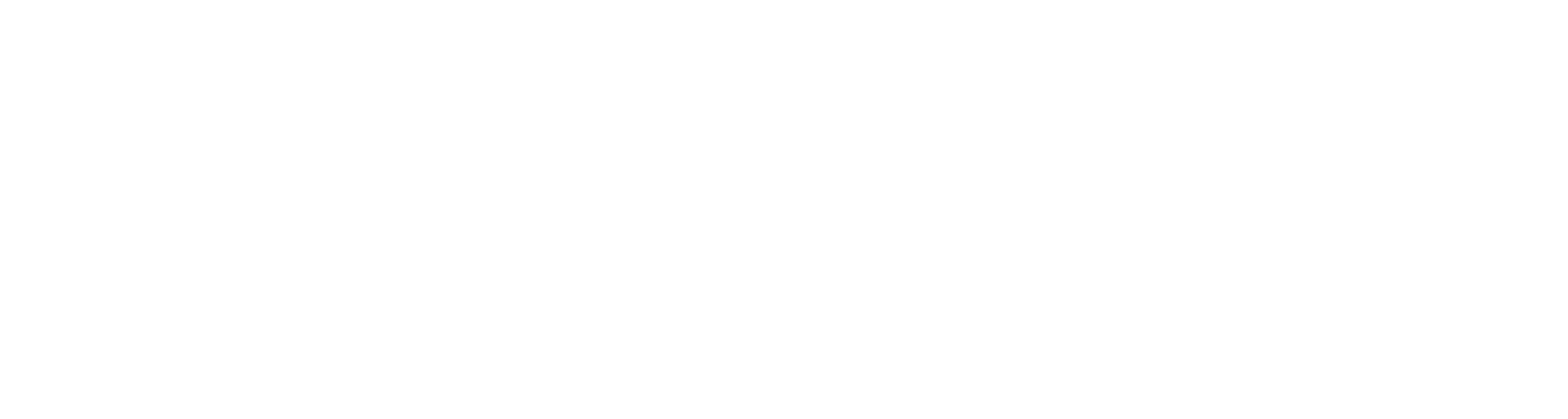 Volver Wellness Horizontal Logo -  White.png