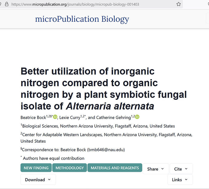 Screenshot of paper written by Beatrice Bock, Lexie Curry, and Catherine Gehring on the nitrogen utilization of a plant-associated fungus, Alternaria alternata, a DSE.